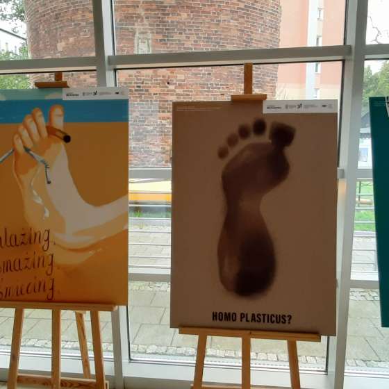 Proekologiczne murale naszych studentów_tek w przestrzeni Gdańska  - 17