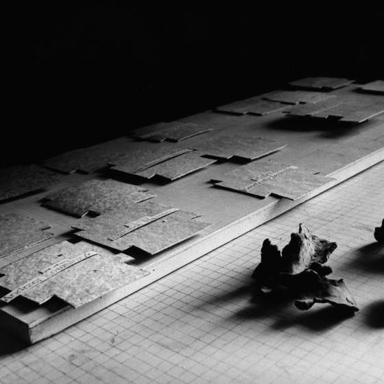 Projekt Cmentarza Poległych Obrońców Westerplatte; 1986-1987; I/A/8/1