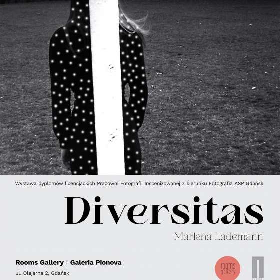 „Diversitas”  - 3