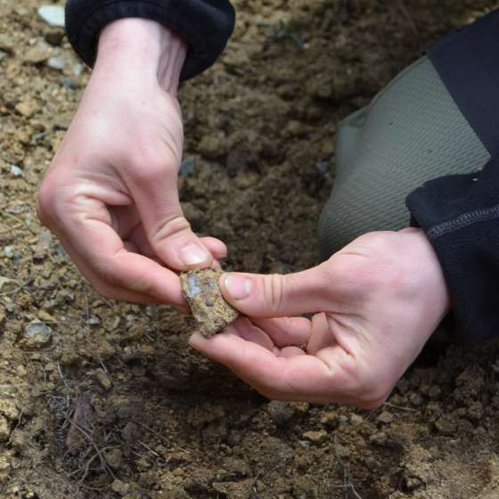Surowce ziemi dolnośląskiej. Prelekcja geologiczno-artystyczna - 4