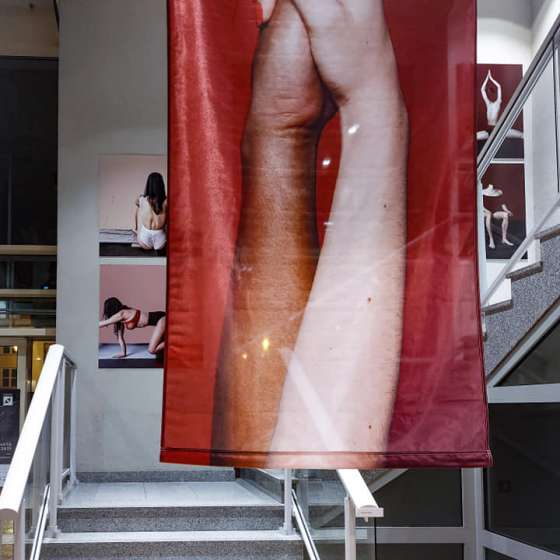 Wystawa 