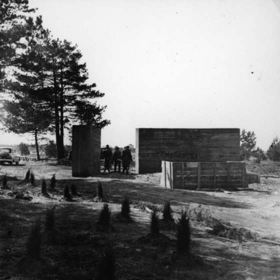 Teren byłego obozu - ustawianie kamieni z nazwami krajów; Treblinka; 1961-1964; I/A/2/37