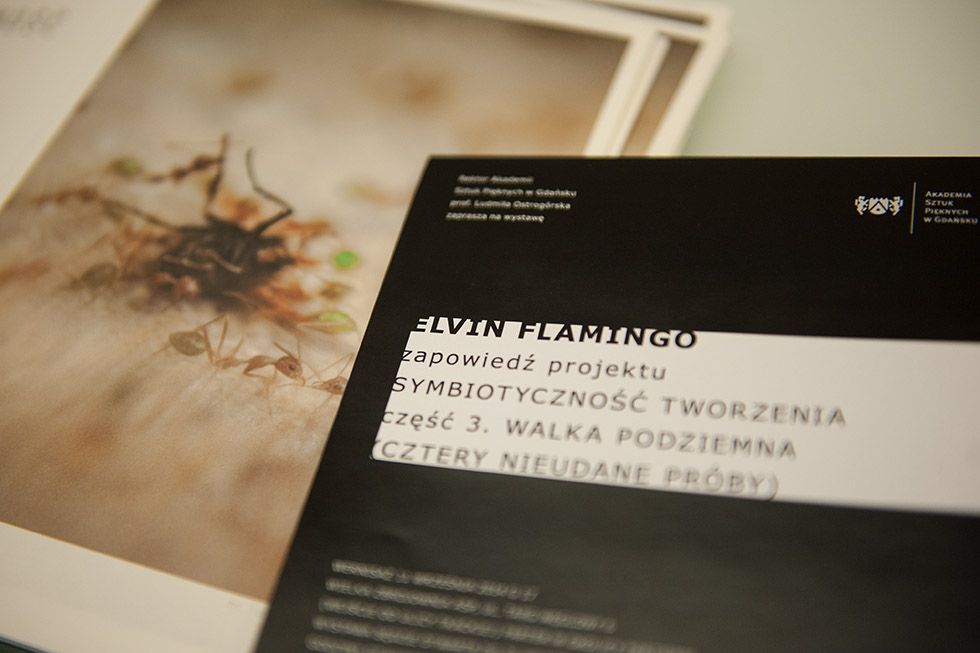 Elvin Flamingo | Symbiotyczność tworzenia cz.3 