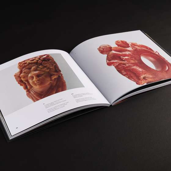 Baltic Amber. NATURE | HISTORY | CULTURE, opracowanie graficzne albumu, skład | MSB/IAA