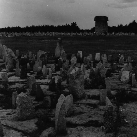 Teren byłego obozu - widok założenia pomnikowego; Treblinka; 1961-1964; I/A/2/69
