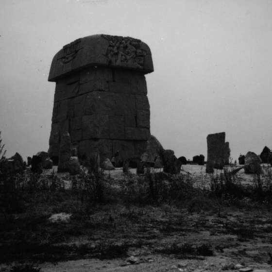 Pomnik - widok; Treblinka; 1961-1964; I/A/2/81