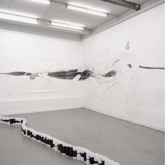 Dokumentacja wystawy indywidualnej pt. „Line of Displacement”, Galeria 5PR UAP, 2019