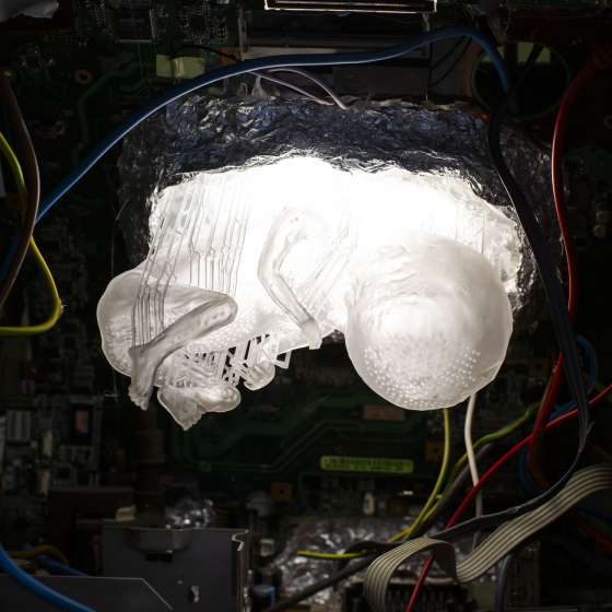 Przegląd semestralny na Rzeźbie - 147