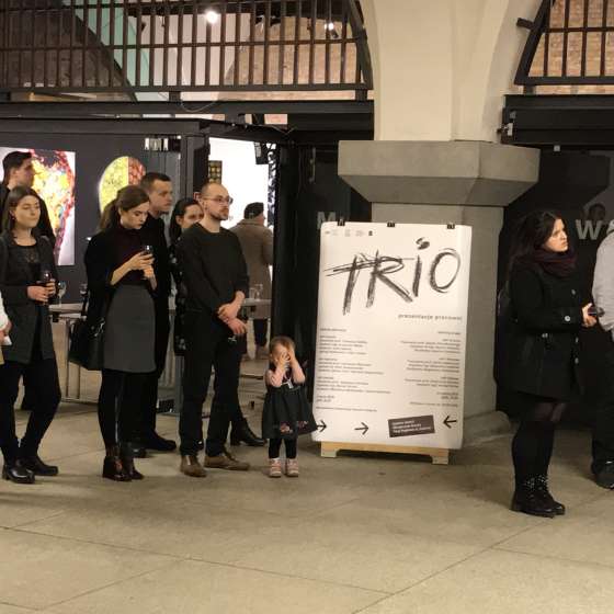 Trio. Prezentacje pracowni - 24