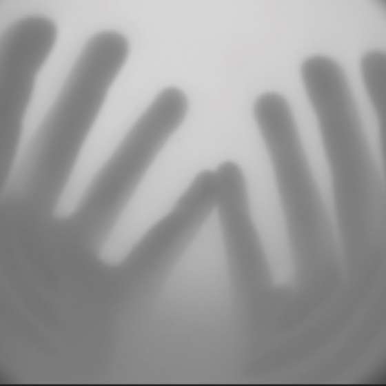 Praca dyplomowa, Motyw fotograficzny. Względność istotności _ istotność względności