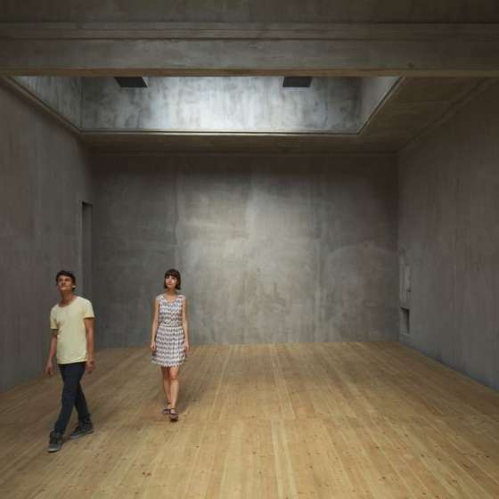 Making the walls quake, Pawilon Polski (dzięki uprzejmości galerii Zachęta), 2012