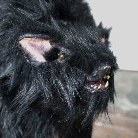 Cherez le mage;