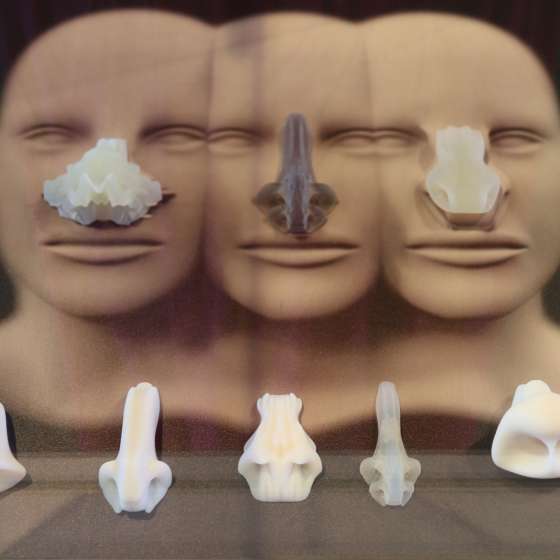 Who nose, 2018, Madryt