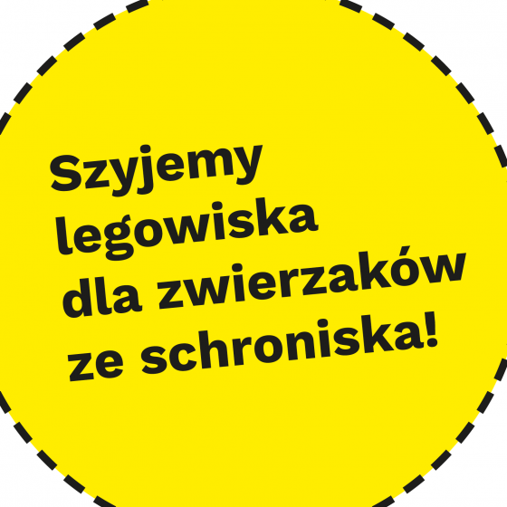 Szyjemy legowiska dla zwierzaków ze schroniska!
