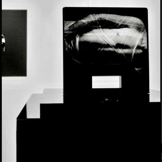 The Gate, rok wykonania: 2015, pokaz premierowy: Istambuł, FASS Art Gallery, 2015  obiekt, fotografia srebrowa, technika luksografii 40 x 40 x 25 cm 007