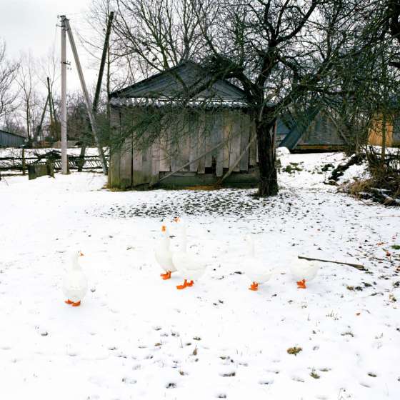Jan Brykczyński - 9