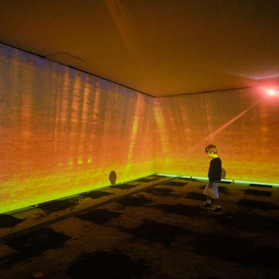 W obiektywie - 444