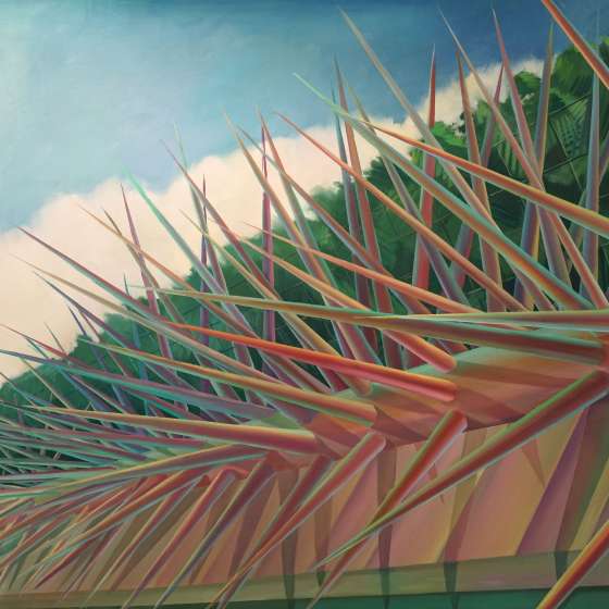 Tomasz Kopcewicz  - 4