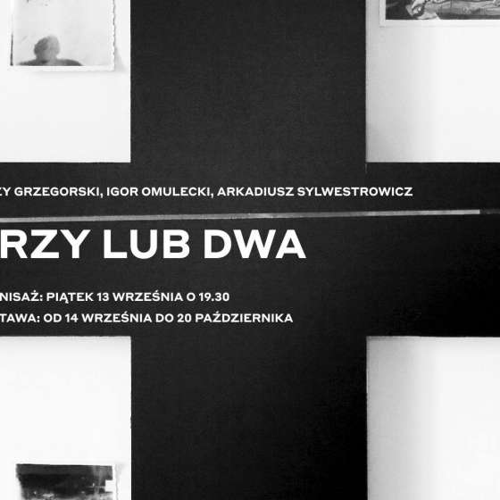 Wystawa „Trzy lub dwa”