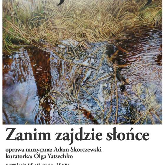 wARTo. Alicja Okrój | Zanim zajdzie słońce