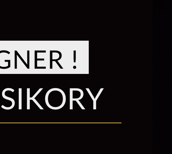 STAND-UP DESIGNERS!  Autorski Standup Jana Sikory
