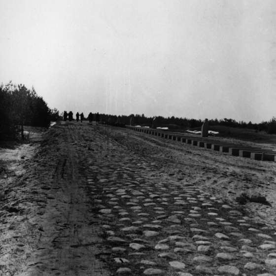 Teren obozu - droga; Treblinka; 1961-1964; I/A/2/36