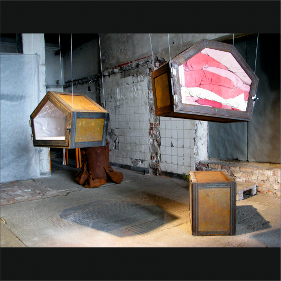 Dariusz Sitek - 51