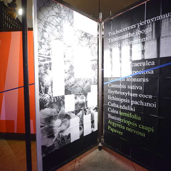 Wystawa ROŚLINA ROŚNIE  - 18