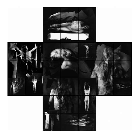 I believe in the resurrection of the body… rok wykonania: 2017, pokaz premierowy: Gdańsk, Galeria Miejska, 2017  fotografia srebrowa, technika solaryzacji + technika własna, wydruk 70 x 70 cm