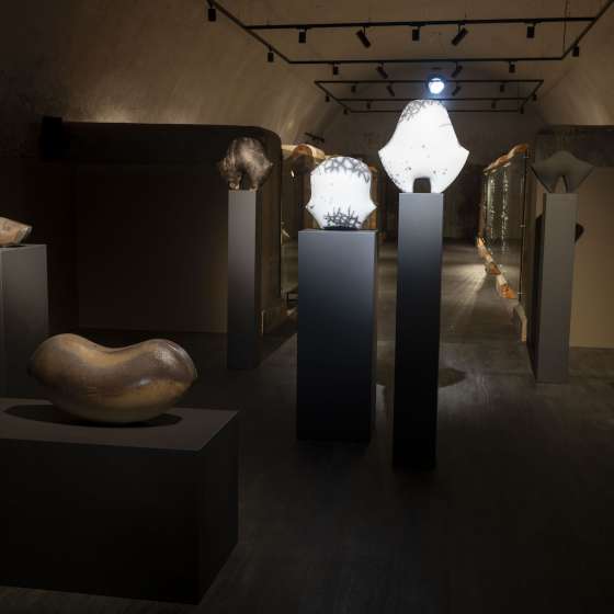 Alicja Buławka-Fankidejska „Formy możliwe”/”Possible Forms” - 4