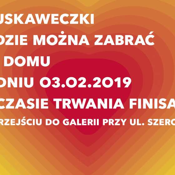 Słoneczowe truskawkowe całuski 