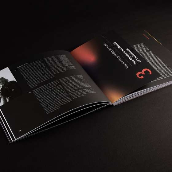 Baltic Amber. NATURE | HISTORY | CULTURE, opracowanie graficzne albumu, skład | MSB/IAA