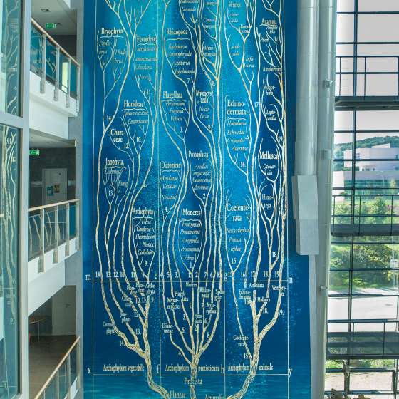 „Drzewo życia Ernsta Haeckla” - malowidło na podstawie ilustracji z publikacji Ernst Haeckel, „Generelle Morphologie der Organismen” z 1866 r., Wydział Biologii Uniwersytetu Gdańskiego