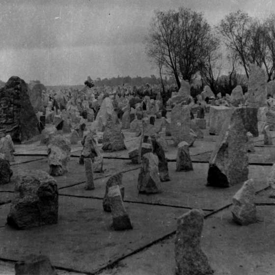 Teren byłego obozu - widok na pole roztrzaskanych kamieni; Treblinka; 1961-1964; I/A/2/47