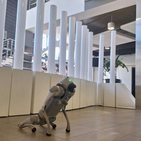 Pies robot Unitree Go2 Air