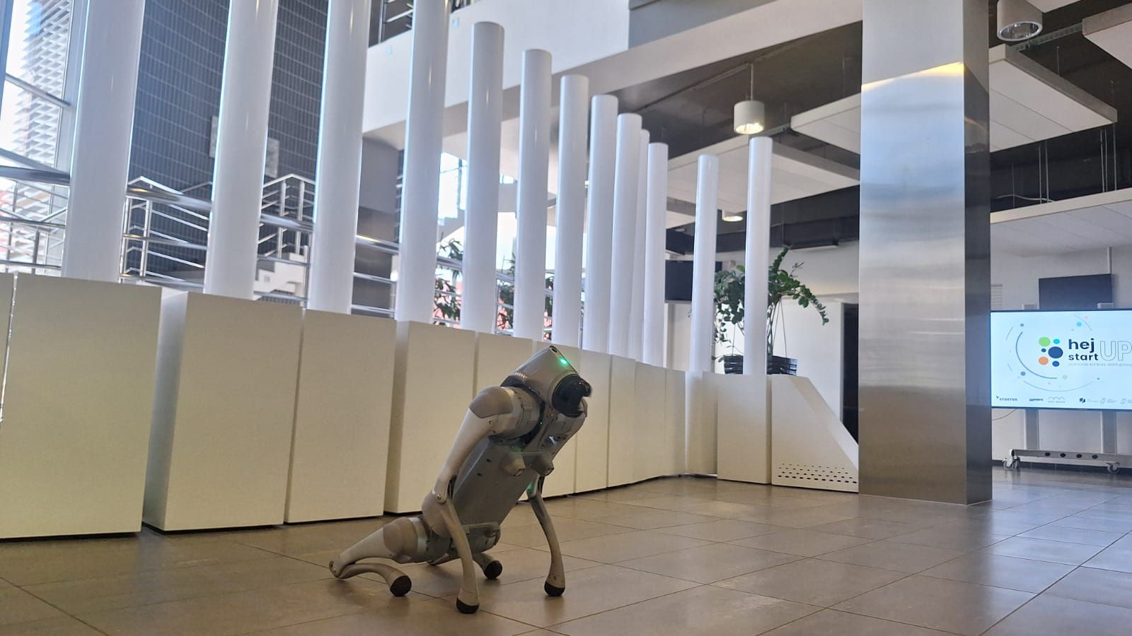 Pies robot Unitree Go2 Air