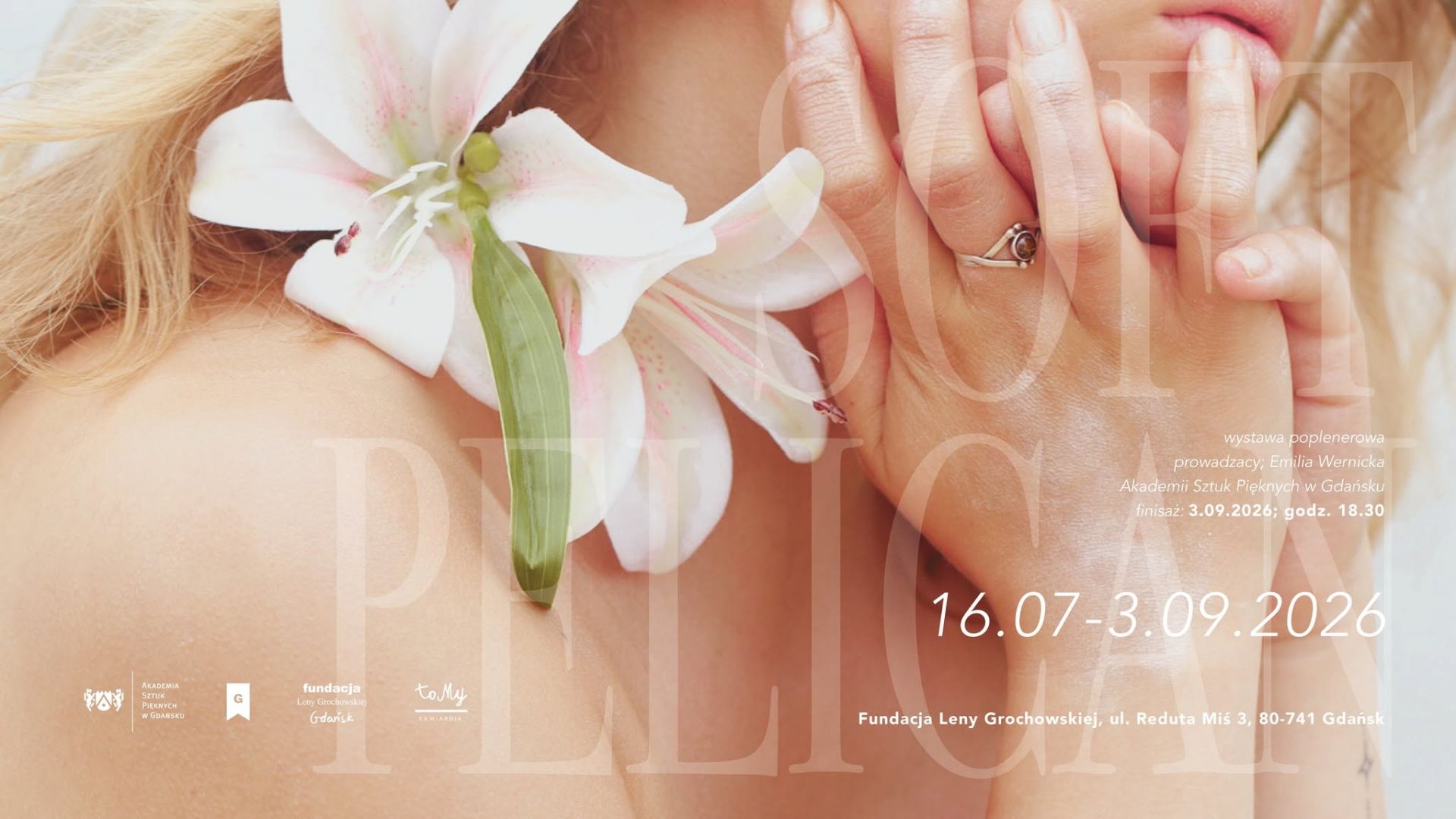 Soft Pelikan 