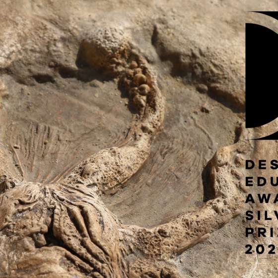 Prof. ASP dr hab. Marta Flisykowska z nagrodą w Design Educates Award! - 5