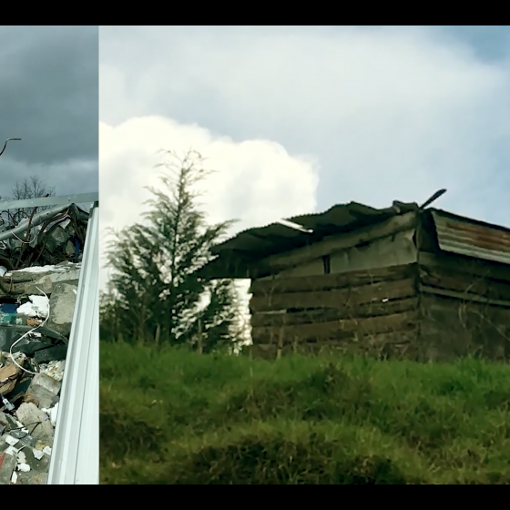 Novembries_film