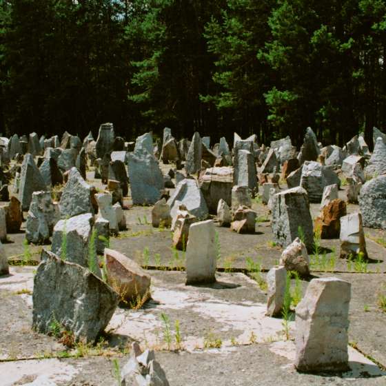 Teren byłego obozu - widok na pole roztrzaskanych kamieni; Treblinka; 1961-1964; I/A/2/114