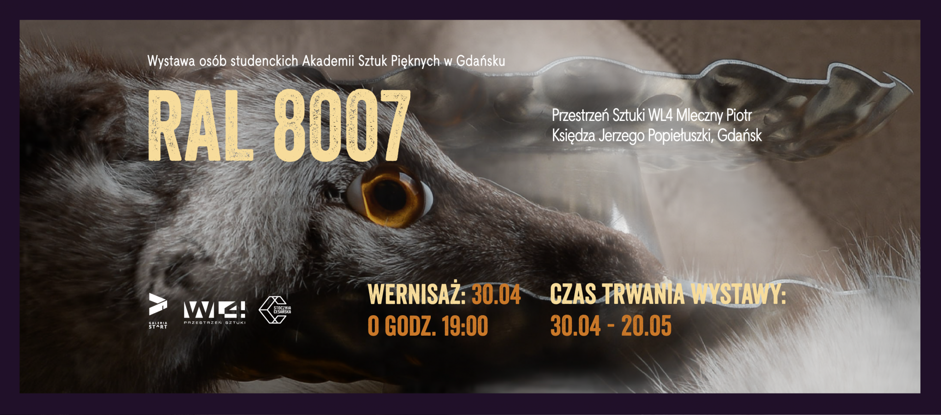 „RAL 8007” – wystawa studentów ASP w Gdańsku