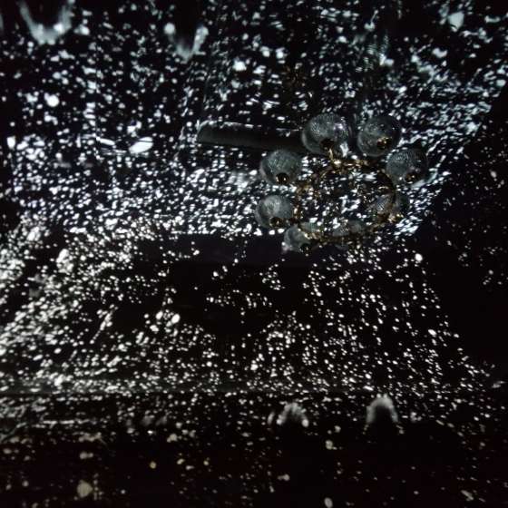 Izabella Gustowska Wirus, 2020 