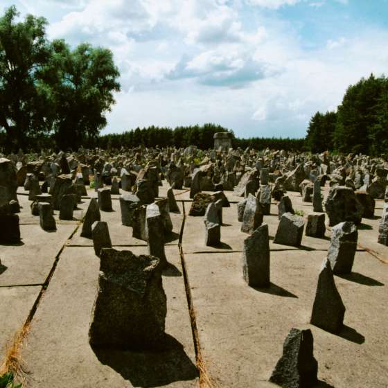 Teren byłego obozu - widok na pole roztrzaskanych kamieni; Treblinka; 1961-1964; I/A/2/117
