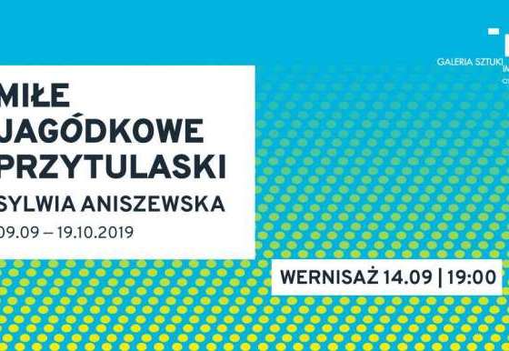 Wystawa Sylwii Aniszewskiej