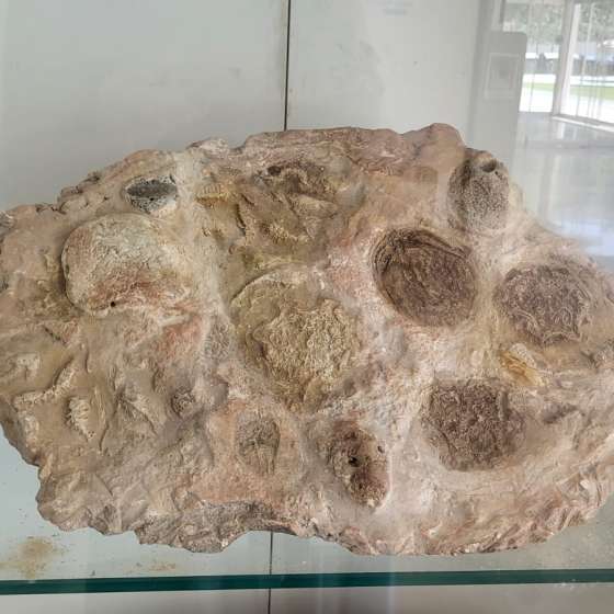 POSTANTHROPOCENE - 13
