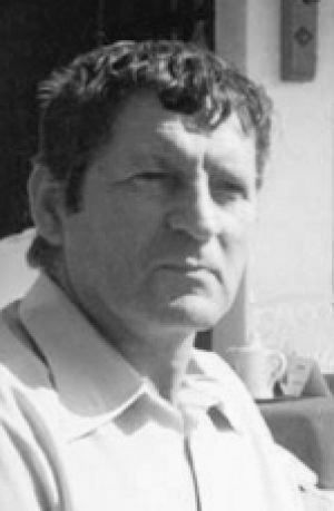 Włodzimierz Łajming
