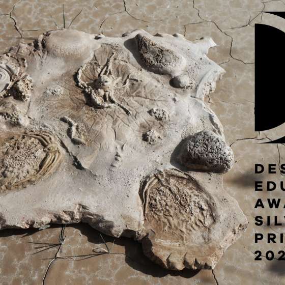 Prof. ASP dr hab. Marta Flisykowska z nagrodą w Design Educates Award!