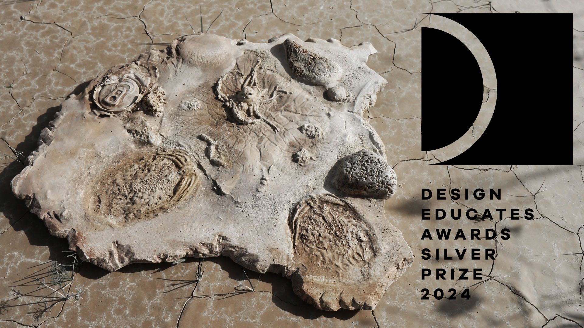 Prof. ASP dr hab. Marta Flisykowska z nagrodą w Design Educates Award!