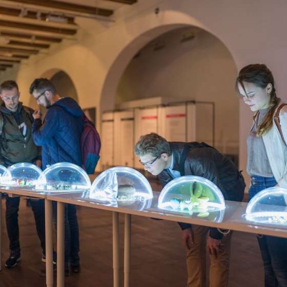 Wystawa | Rzeczy. Kultura Materialna