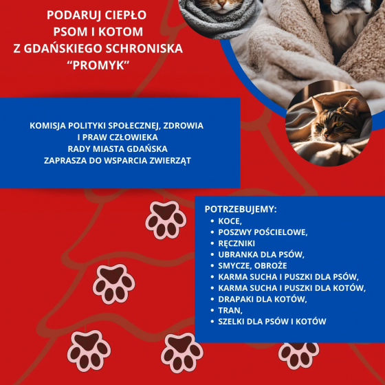 Ciepło dla zwierzaków! Zbiórka charytatywna na ASP Gdańsk